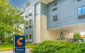 Comfort Inn Rutland - Killington